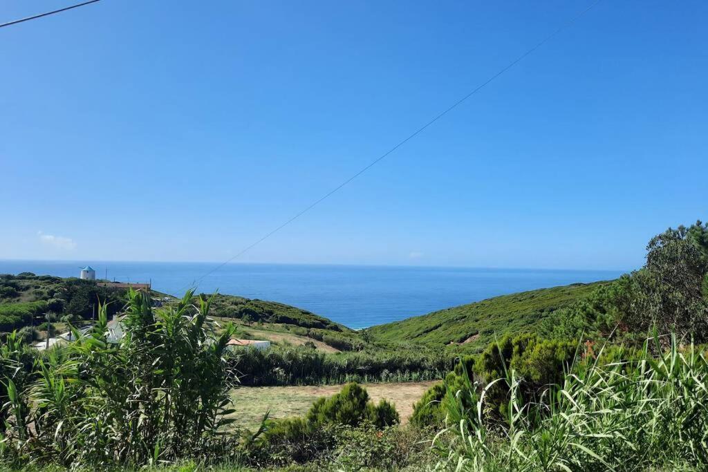 Sunflower Sea View With Magnificent Terrace In Serra Da Pescaria, Nazare - Portugal Exterior photo