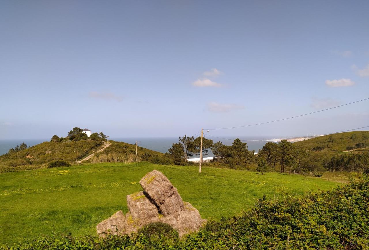 Sunflower Sea View With Magnificent Terrace In Serra Da Pescaria, Nazare - Portugal Villa Exterior photo