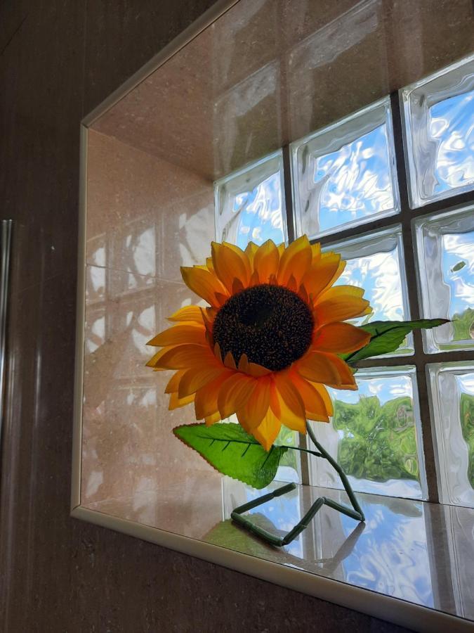 Sunflower Sea View With Magnificent Terrace In Serra Da Pescaria, Nazare - Portugal Exterior photo